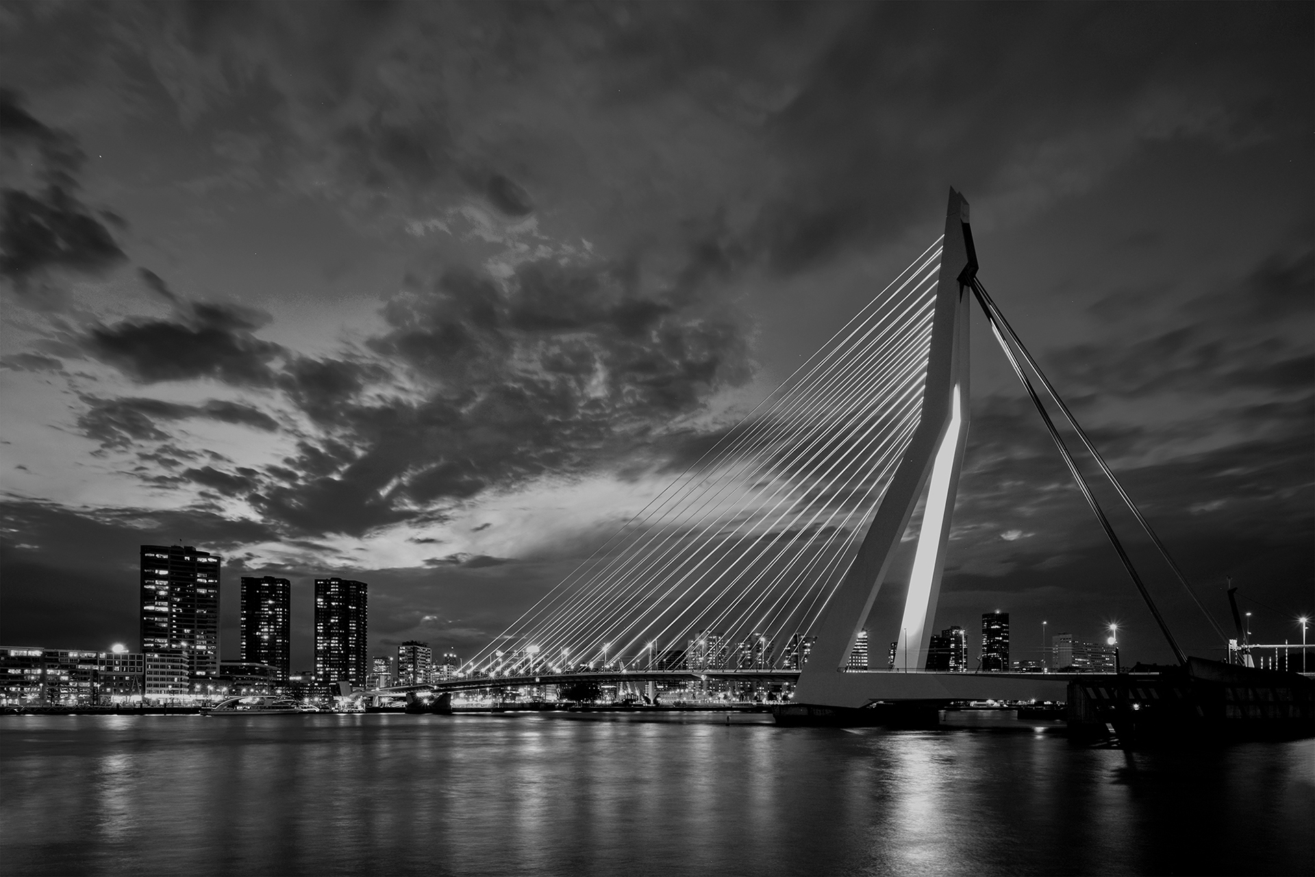 Erasmus Bridge, Rotterdam